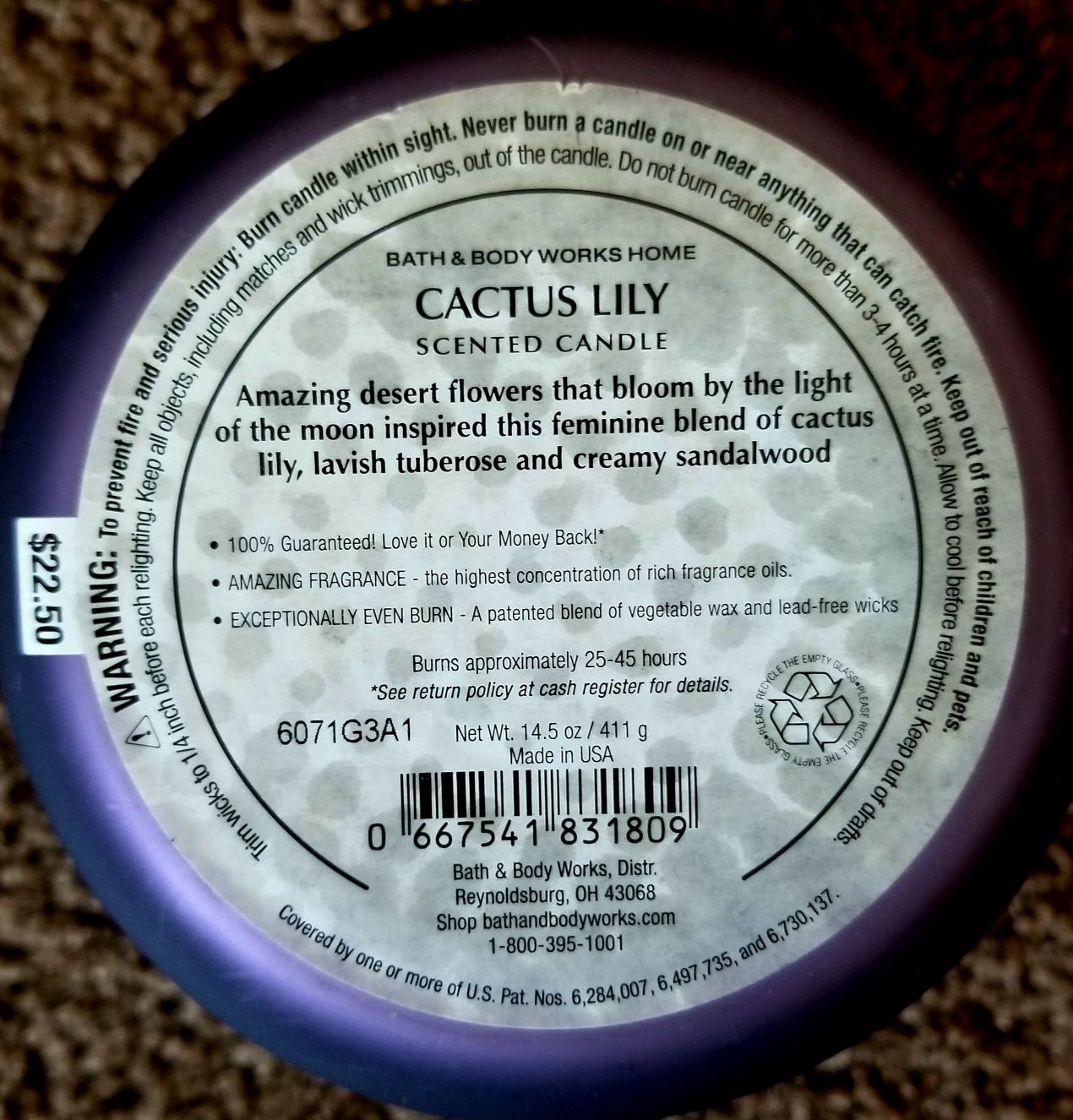 CANDLE: Desert Bath and Bodyworks Cactus Lily 2016 - Bath & Bodyworks Candle (Desert Candles) action figure collectible - Main Image 2