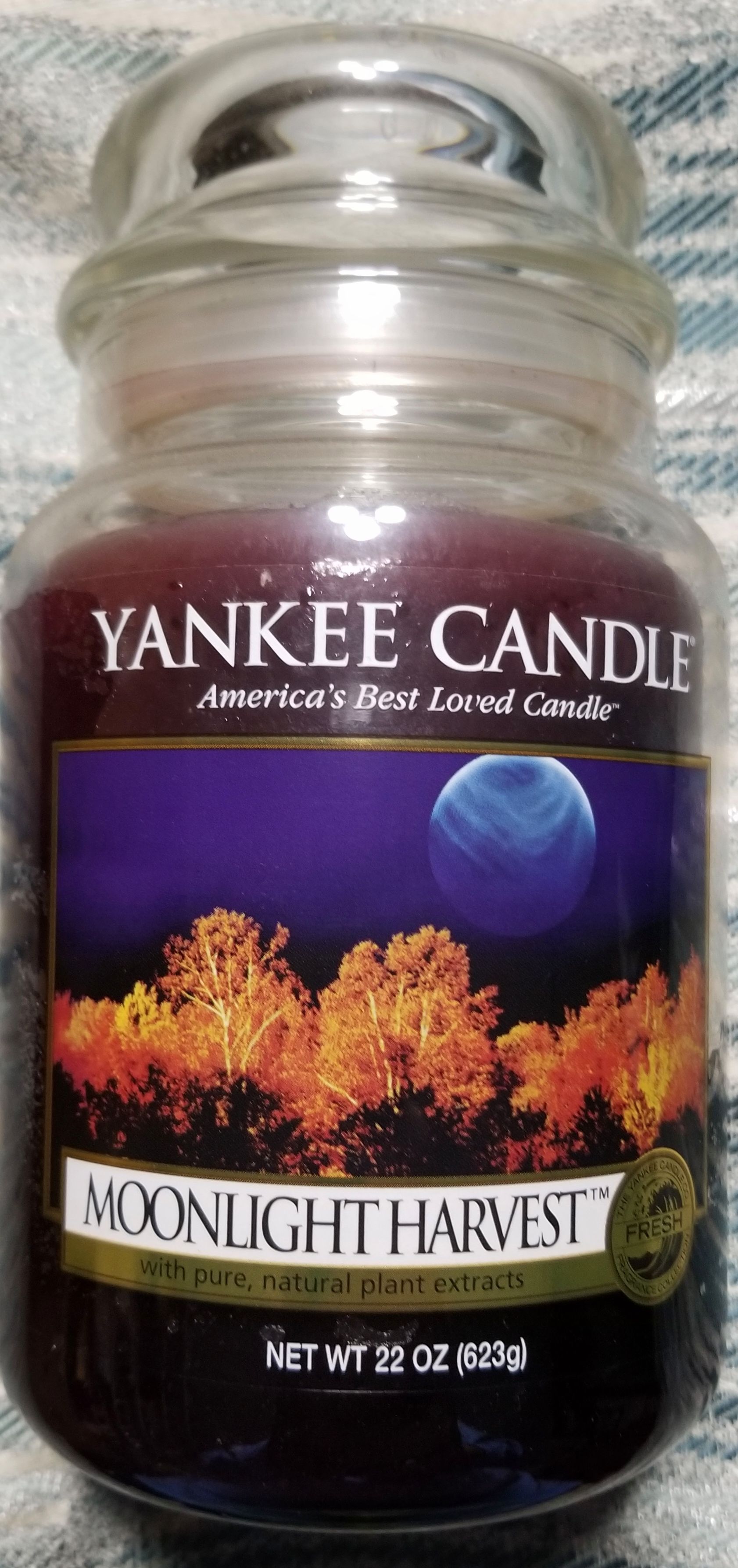 Twilight Zone Mystic Seer Replica By Bif Bang Pow! | Man Of ...