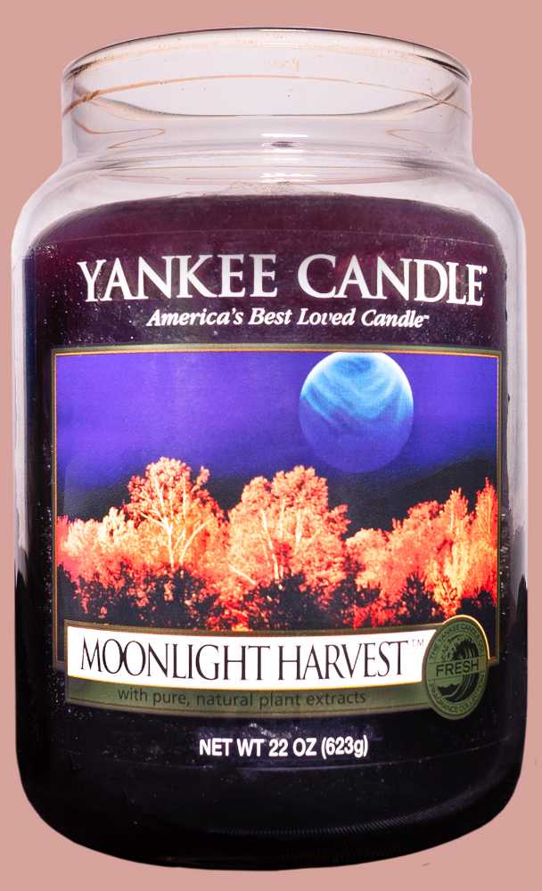 CANDLE: Halloween Yankee Moonlight Harvest 2011 - Yankee Candle (Halloween Candle) action figure collectible [Barcode 609032690182] - Main Image 4