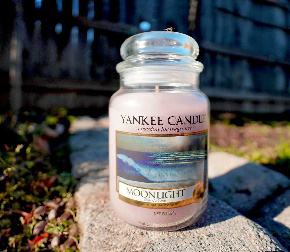 CANDLE: Halloween Yankee Moonlight 2017 UK - Yankee Candle (Halloween Candle) action figure collectible - Main Image 3