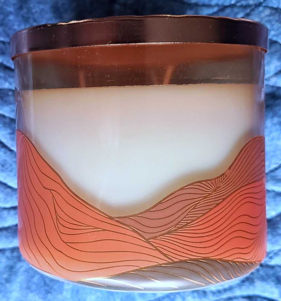 CANDLE: Desert Bath and Bodyworks Cautus Blossom 2023 - Bath & Bodyworks Candle (Desert Candles) action figure collectible - Main Image 3