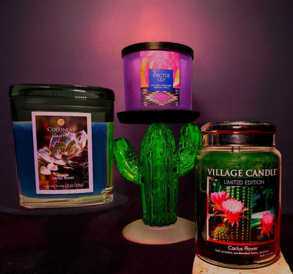 CANDLE: Desert Village Cactus Flower 2020 - Village Candle (Desert Candles) action figure collectible [Barcode 602406645641] - Main Image 3