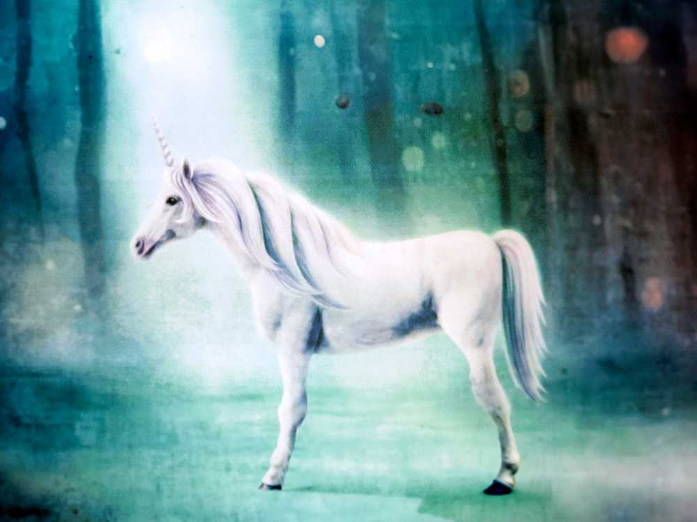 CANDLE: Enchanted Country Candle Unicorn Poop 2018 Kringle - Country Candle (Enchanted Candles) action figure collectible - Main Image 4