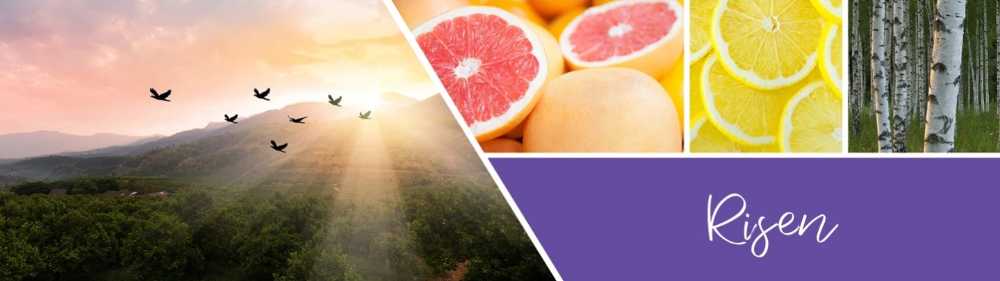 CANDLE: Easter Goose Creek Risen 2020 - Goose Creek Candle (Easter Candles) action figure collectible [Barcode 87543100] - Main Image 3