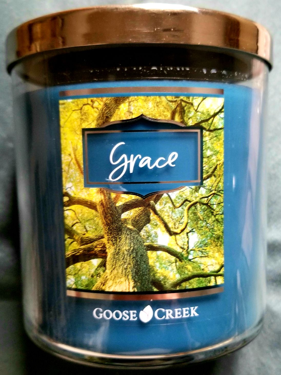 CANDLE: Halloween Goose Creek Poison Cupcake 2019