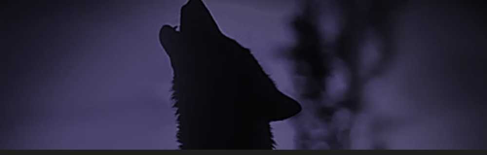 CANDLE: Halloween Kringle Wolf’s Bane 2019 - Kringle Candle (Halloween Candle) action figure collectible - Main Image 4