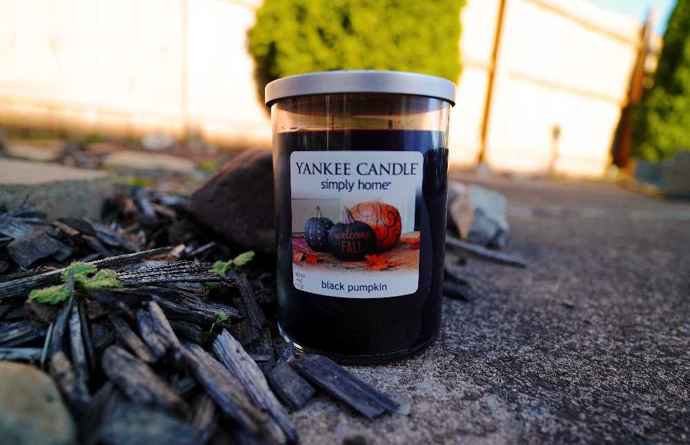 CANDLE: Pumpkins Yankee Black Pumpkin 2016 - Yankee Candle (Autumn Candles) action figure collectible - Main Image 3