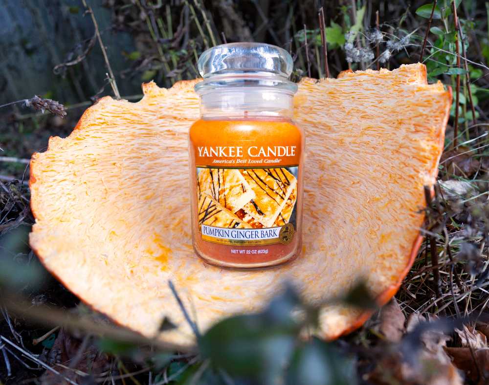 CANDLE: Pumpkins Yankee Pumpkin Ginger Bark 2014 - Yankee Candle (Autumn Candles) action figure collectible [Barcode 886860162641] - Main Image 3