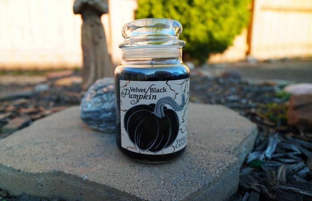 CANDLE: Pumpkins Yankee Velvet Black Pumpkin 2016 - Yankee Candle (Autumn Candles) action figure collectible - Main Image 3