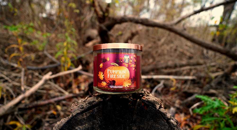 CANDLE: Pumpkins Bath & Bodyworks Pumpkin Fireside 2016 - Bath & Bodyworks Candle (Autumn Candles) action figure collectible - Main Image 3