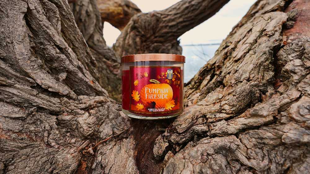 CANDLE: Pumpkins Bath & Bodyworks Pumpkin Fireside 2016 - Bath & Bodyworks Candle (Autumn Candles) action figure collectible - Main Image 4