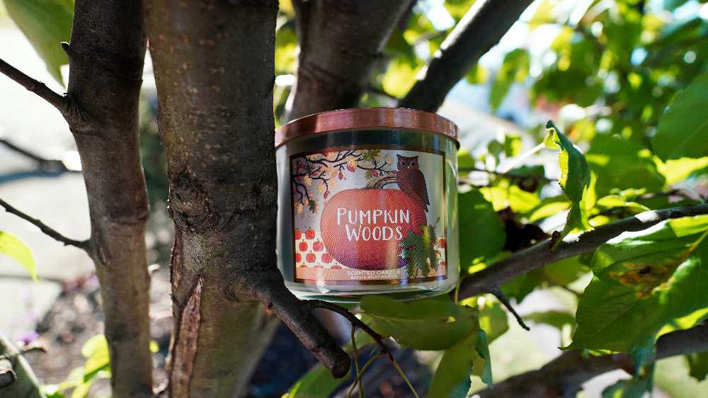 CANDLE: Pumpkins Bath & Bodyworks Pumpkin Woods 2016 - Bath & Bodyworks Candle (Autumn Candles) action figure collectible - Main Image 3