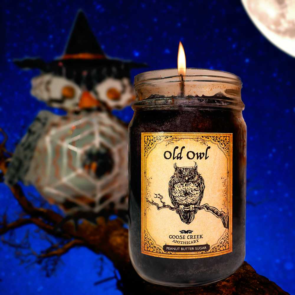 CANDLE: Halloween Goose Creek Old Owl Peanut Butter Sugar 2015 - Goose Creek Candle (Halloween Candle) action figure collectible - Main Image 4