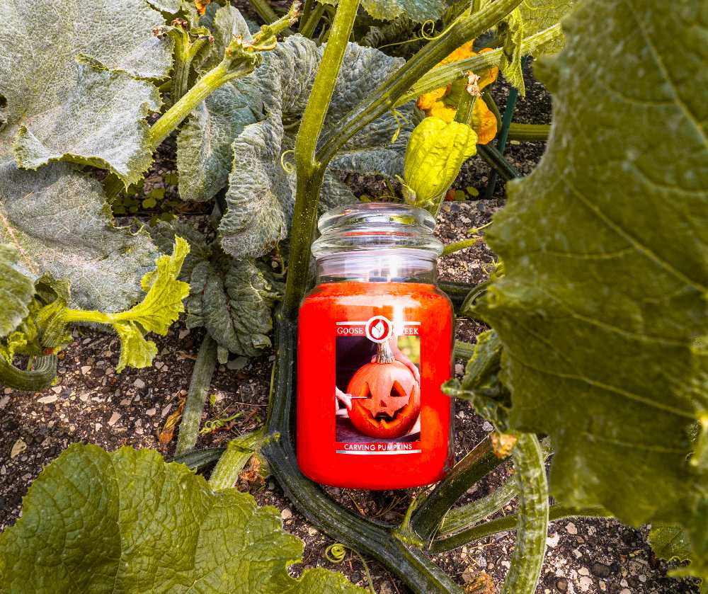 CANDLE: Halloween Goose Creek Carving Pumpkins 2018 - Goose Creek Candle (Halloween Candle) action figure collectible - Main Image 4