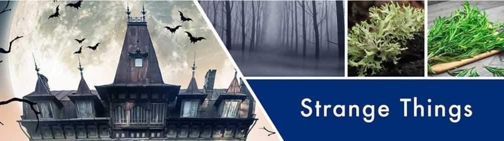 CANDLE: Halloween Goose Creek Strange Things 2018 - Goose Creek Candle (Halloween Candle) action figure collectible - Main Image 3