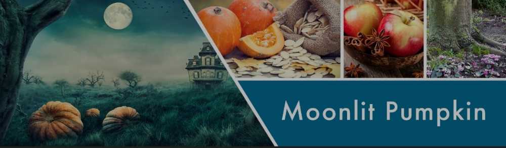 CANDLE: Halloween Goose Creek Moonlit Pumpkin 2020 - Goose Creek Candle (Halloween Candle) action figure collectible [Barcode 875484002594] - Main Image 3