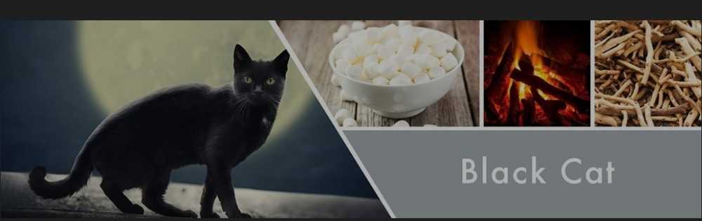 CANDLE: Halloween Goose Creek Black Cat 2019 - Goose Creek Candle (Halloween Candle) action figure collectible [Barcode 814630029719] - Main Image 3