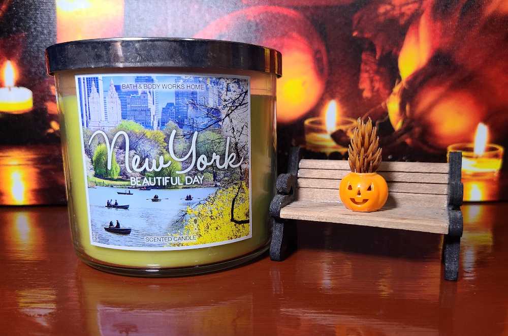 CANDLE: USA City Bath & Body Works New York Beautiful Day 2016 - Bath & Bodyworks Candle (USA Candles) action figure collectible - Main Image 3