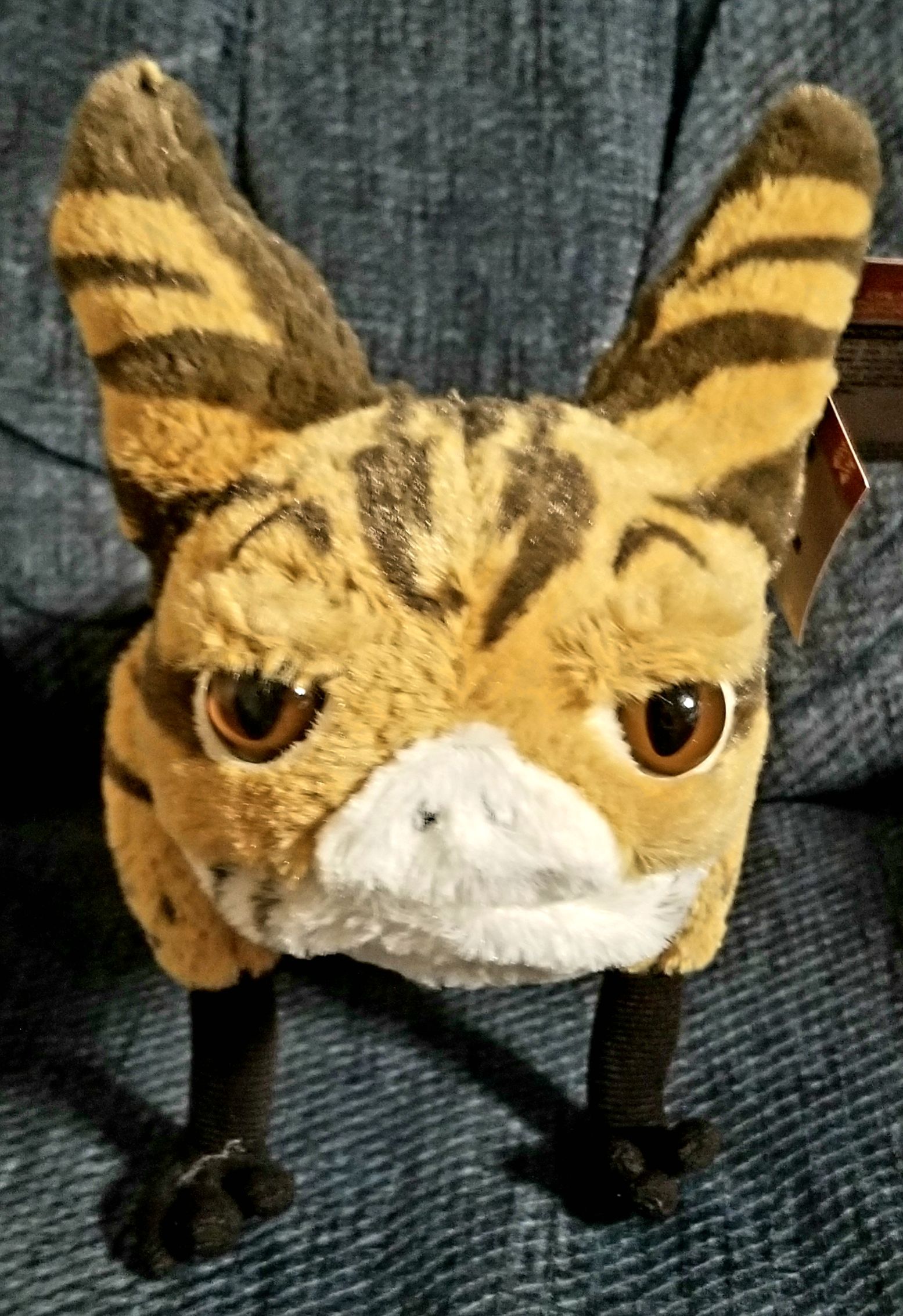 Disney Galaxy’s Edge PlushCreatures- Star Wars Tooka Loth Cat 10 inch plush SWR - Disney Galaxy’s Edge Shops (Star Wars Galaxy’s Edge Merchandise) action figure collectible [Barcode 400021058231] - Main Image 2