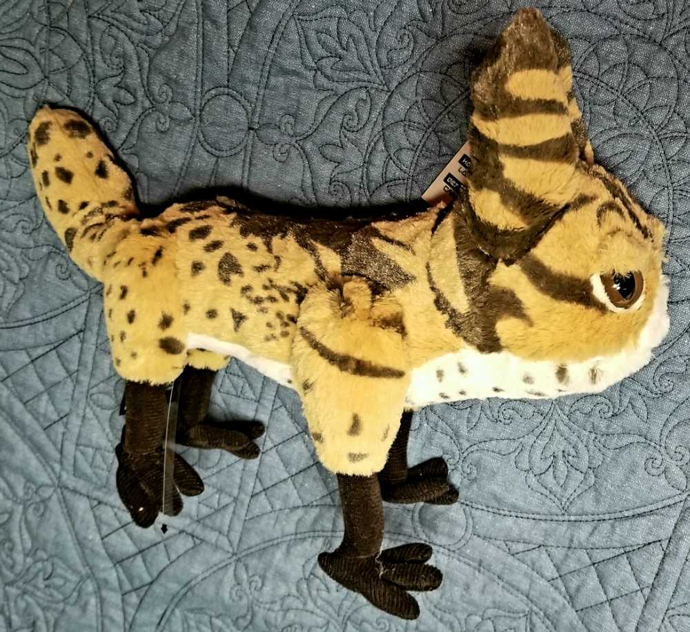 Disney Galaxy’s Edge PlushCreatures- Star Wars Tooka Loth Cat 10 inch plush SWR - Disney Galaxy’s Edge Shops (Star Wars Galaxy’s Edge Merchandise) action figure collectible [Barcode 400021058231] - Main Image 3