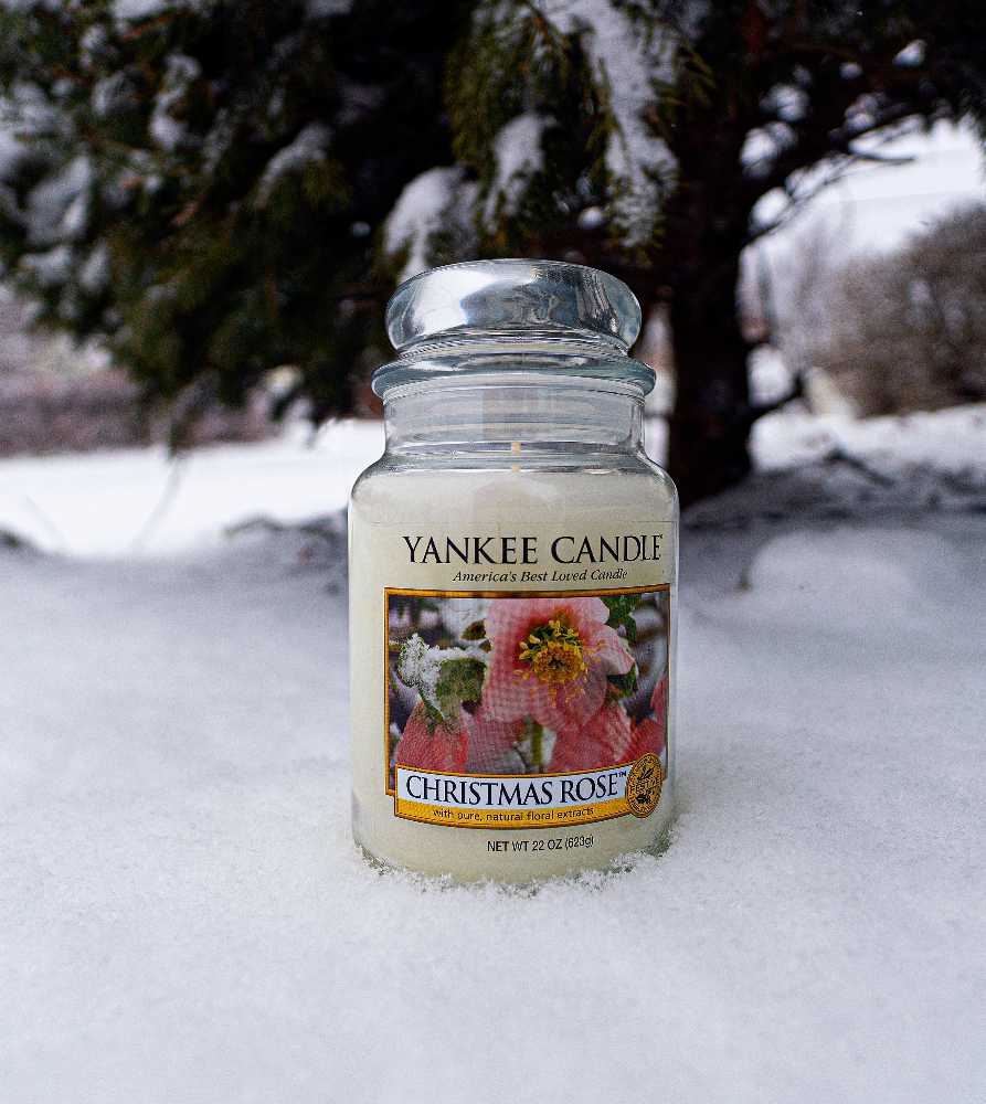 CANDLE: Christmas Yankee Christmas Rose 2011 - Yankee Candle (Christmas Candles) action figure collectible - Main Image 3