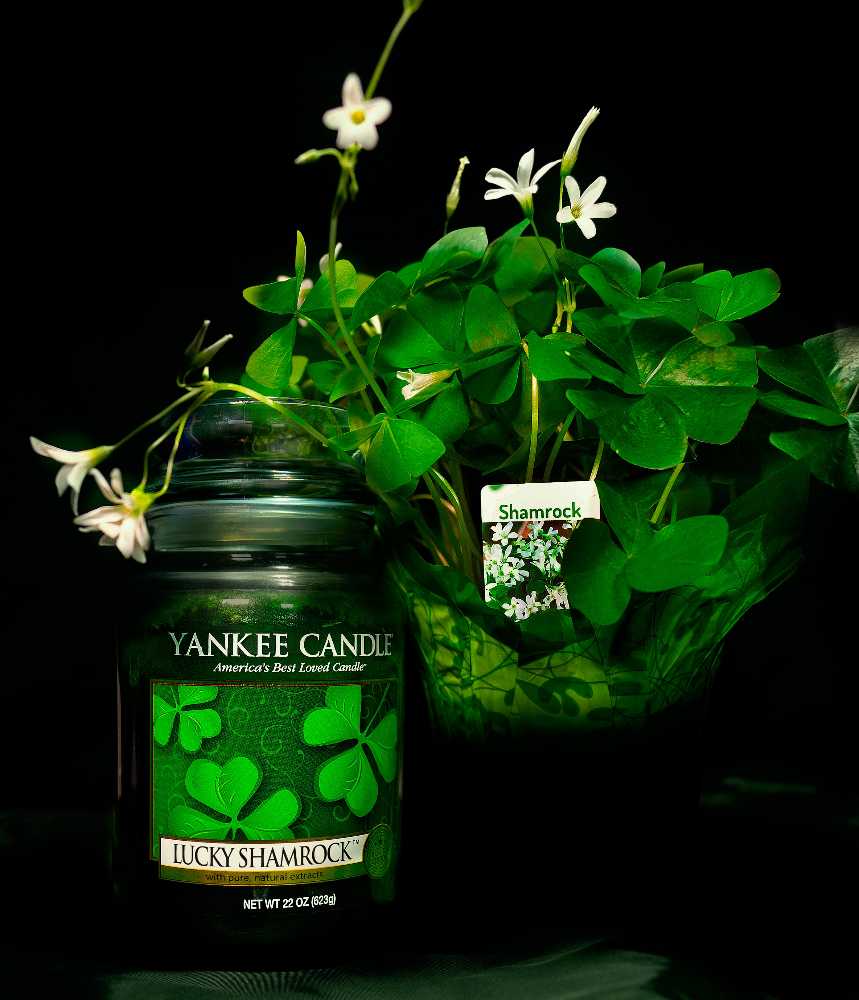 CANDLE: St. Patrick’s Day Yankee Candle Lucky Shamrock 2011 - Yankee Candle (St. Patrick’s Day Candles) action figure collectible - Main Image 3