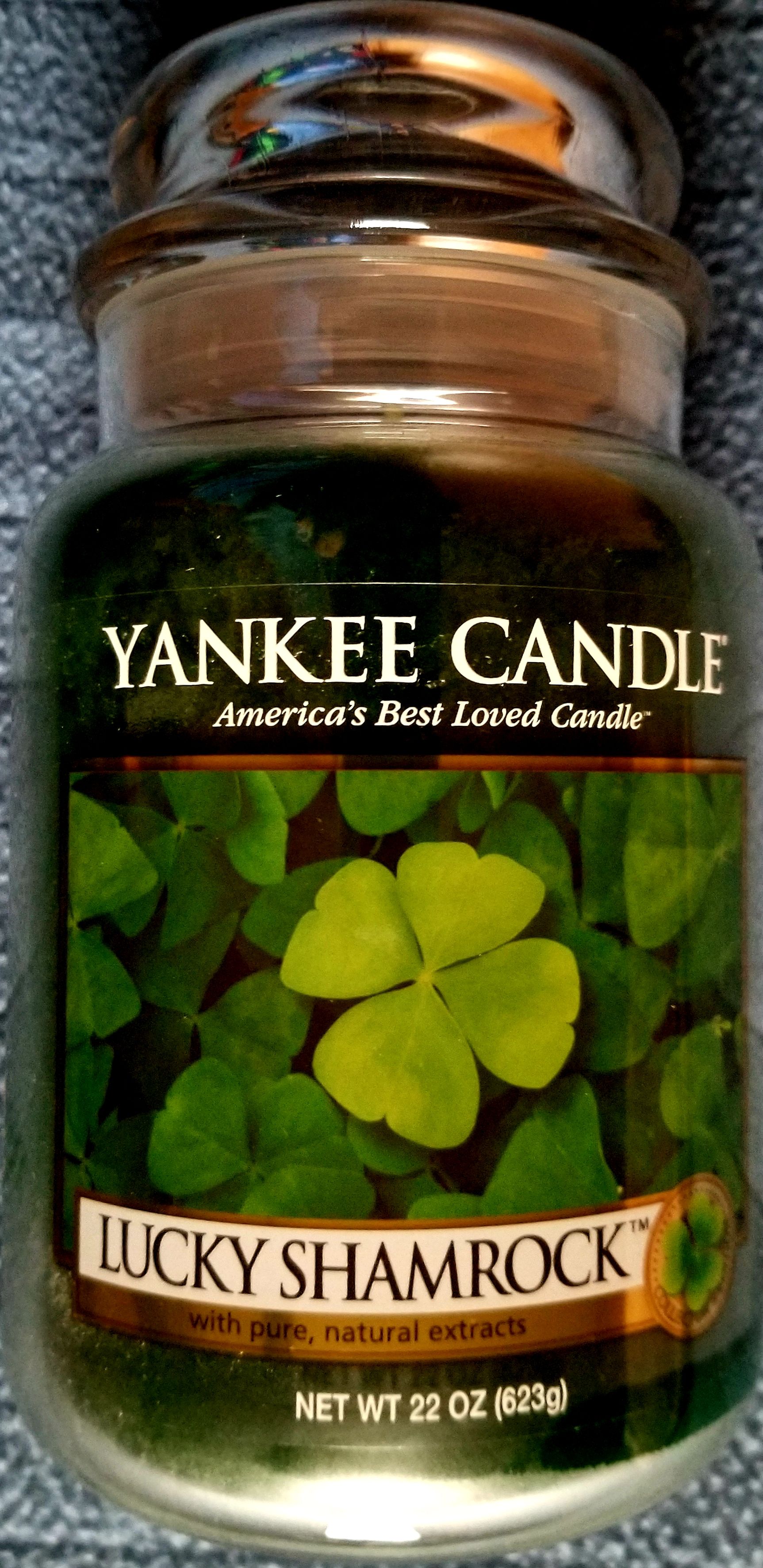 CANDLE: Halloween Bath & Bodyworks Vampire Blood Single Wick 2020