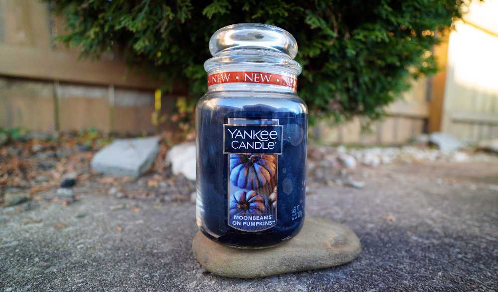 CANDLE: Pumpkins Yankee Moonbeams on Pumpkins 2017 - Yankee Candle (Autumn Candles) action figure collectible - Main Image 3