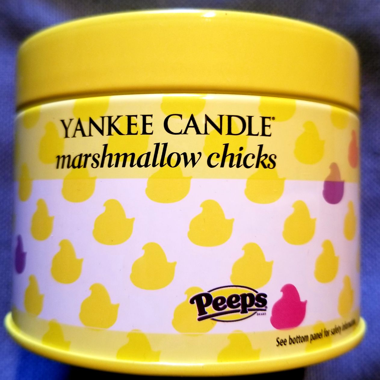 Spongebob Rainbow pop Vinyl 558