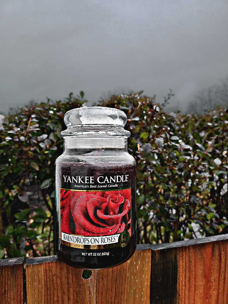 CANDLE: Christmas Yankee Raindrops on Roses Favorite Things 2011 - Yankee Candle (Christmas Candles) action figure collectible - Main Image 3