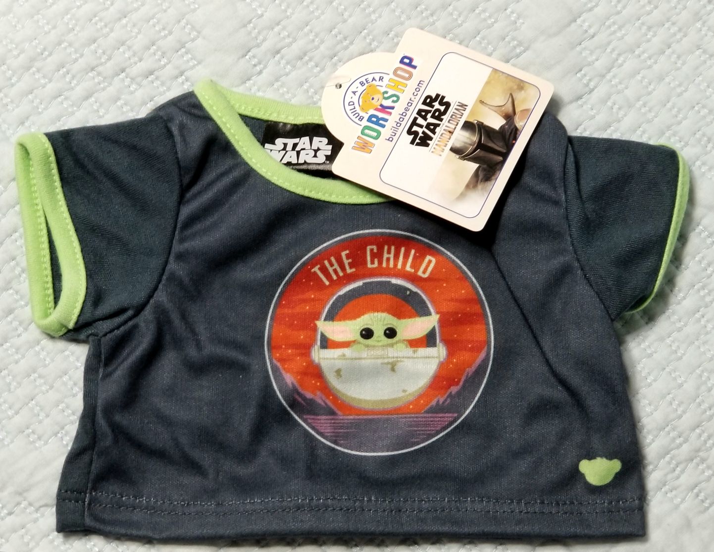 Collectors Case Holds 12