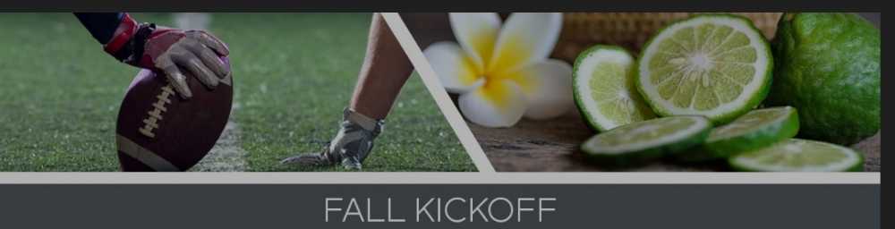 CANDLE: Football Goose Creek Fall Kickoff 2020 - Goose Creek Candle (Sports Candles) action figure collectible [Barcode 814630026800] - Main Image 3