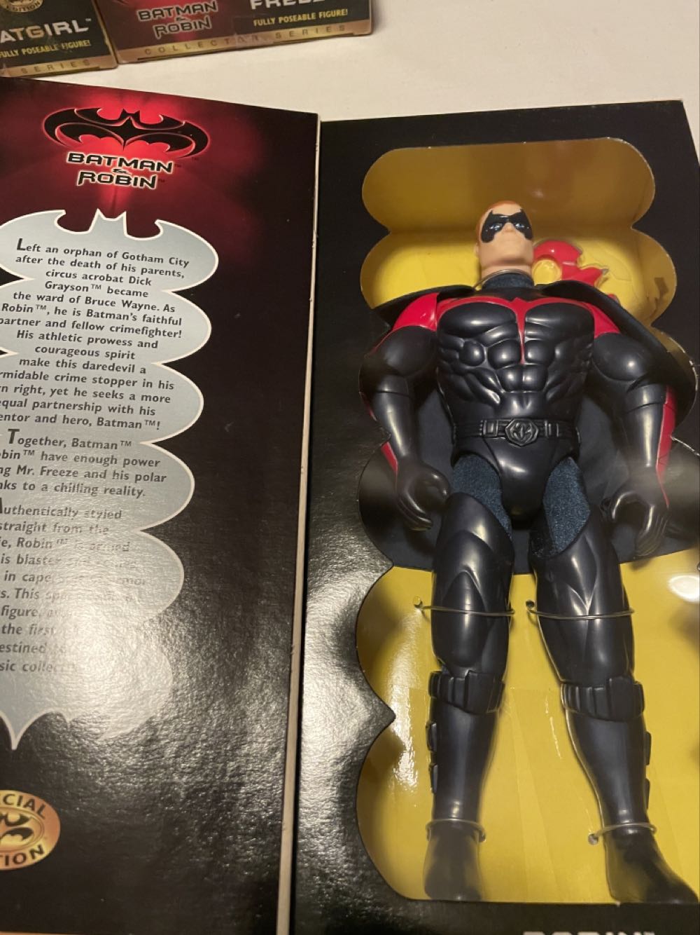 Robin Collectors Series - Hasbro Inc action figure collectible [Barcode 076281289236] - Main Image 3