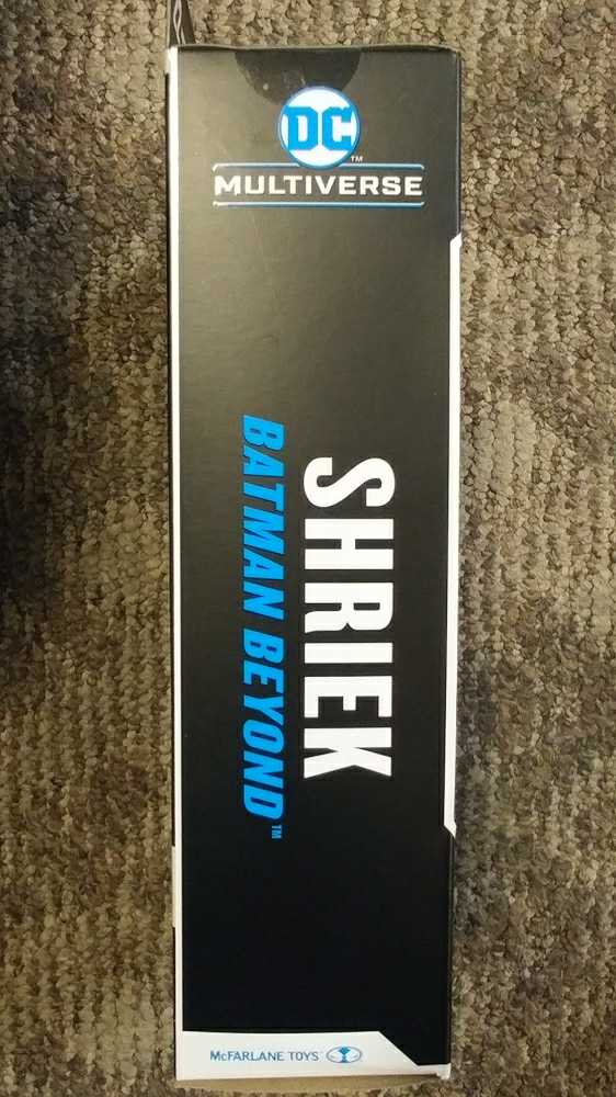 DC Multiverse Batman Beyond: Future’s End Series SHRIEK (MASKED) (Target Exclusive) - McFarlane (DC Multiverse) action figure collectible [Barcode 787926154443] - Main Image 3