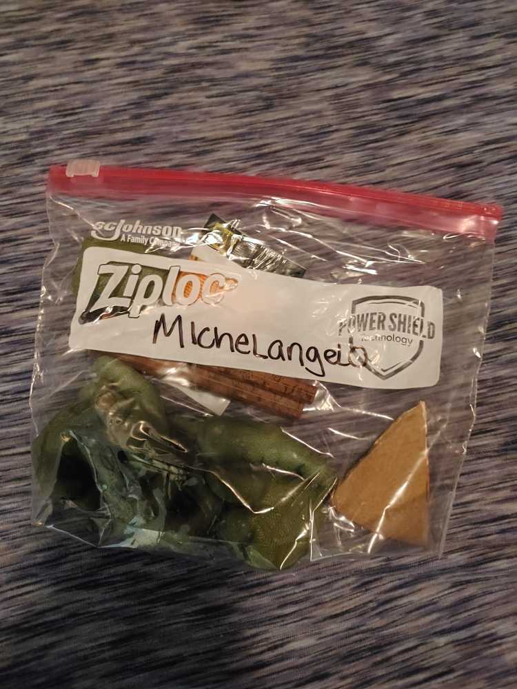 Teenage Mutant Ninja Turtles Michelangelo 1:4 Scale - Neca (Family) action figure collectible - Main Image 2