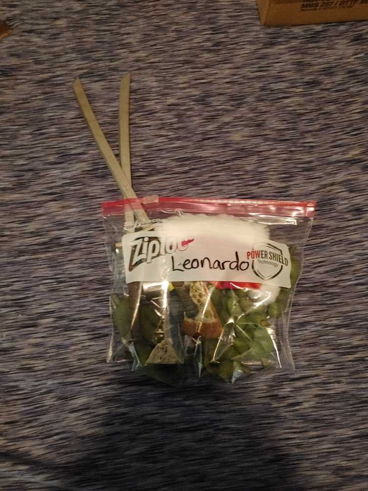 Teenage Mutant Ninja Turtles Leonardo 1:4 Scale - Neca (Family) action figure collectible - Main Image 3