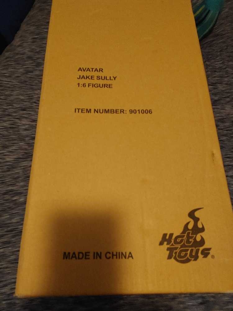 Avatar Jake Sully MMS159 1:6 Scale  - Hot Toys (Science Fiction/Fantasy) action figure collectible - Main Image 2