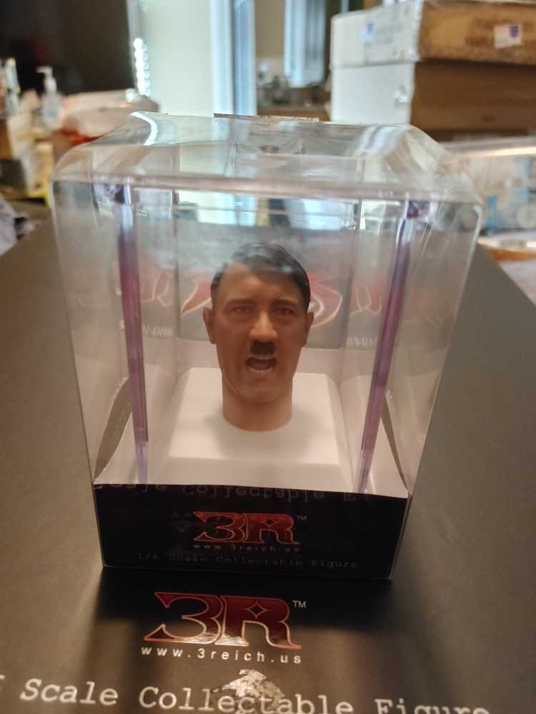 Adolf Hitler 1889-1945 1:6 Scale - 3R (Documentary) action figure collectible - Main Image 3