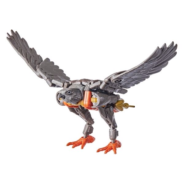 Airazor - Hasbro (Kingdom: War For Cybertron Trilogy) action figure collectible [Barcode 5010993782284] - Main Image 3