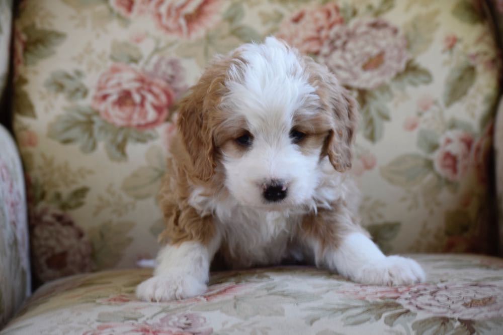 Funko Pop! Keychain: The Mandalorian Mandalorian With Blaster