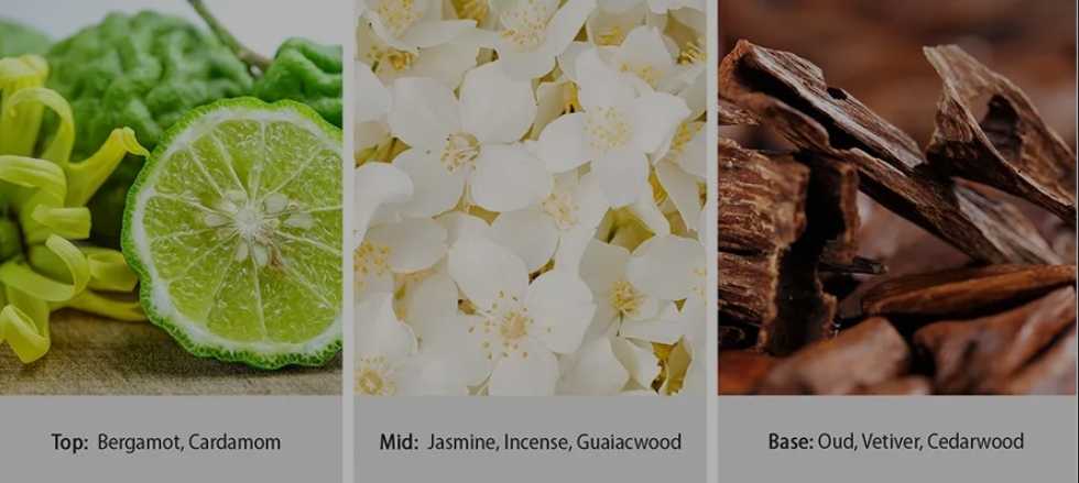 CANDLE: Desert Kringle Candle Desert Oud 2021 - Kringle Candle (Desert Candles) action figure collectible [Barcode 846853068800] - Main Image 4