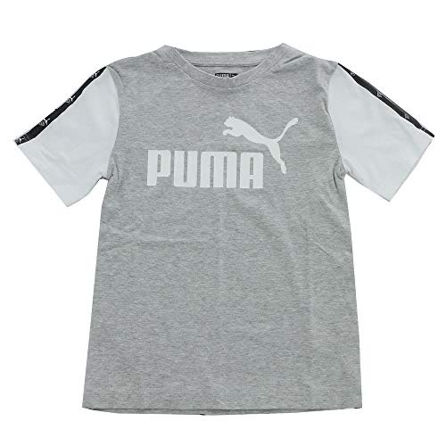 Battle ArmorSkeletor