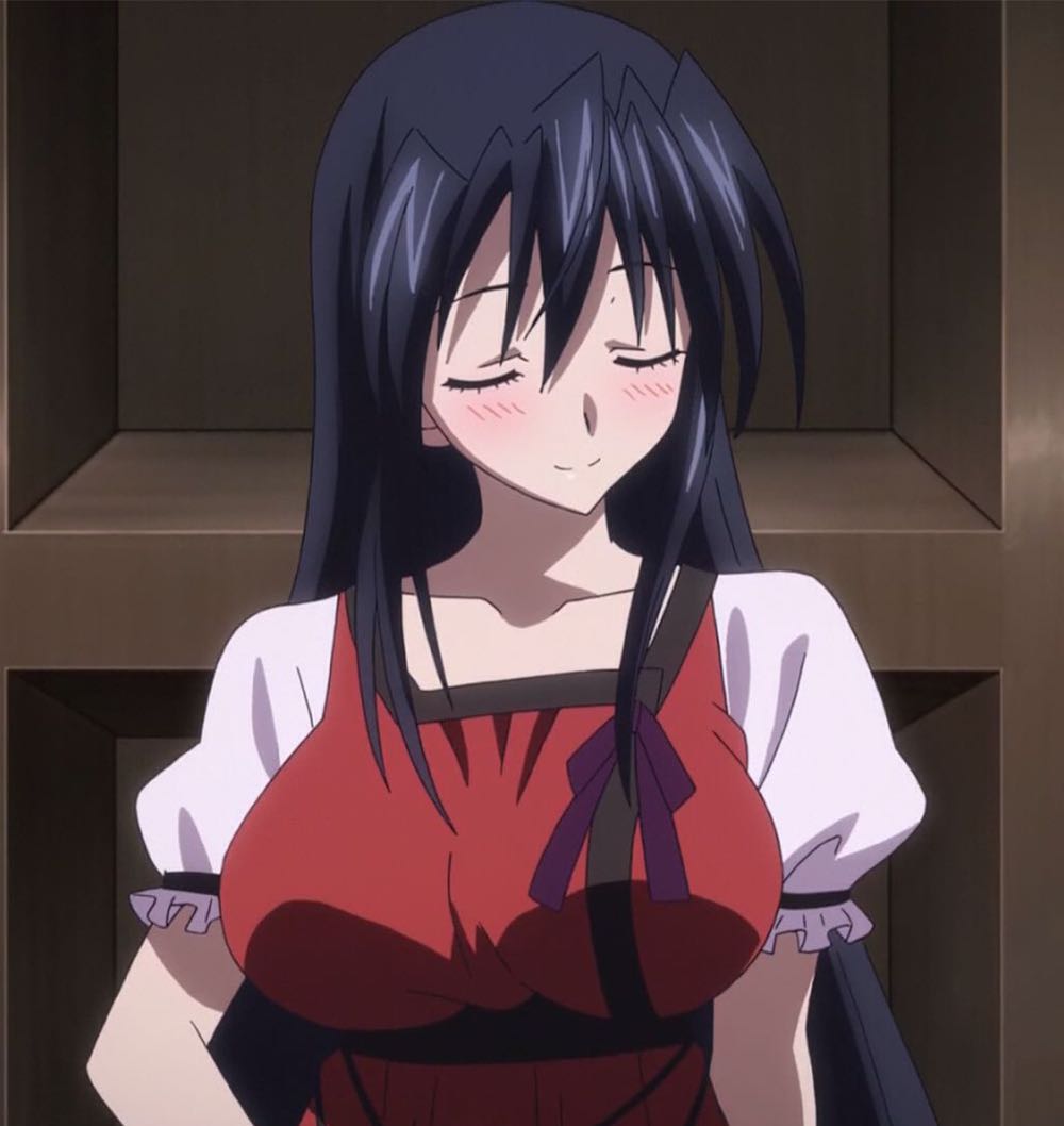 High School DXD (Akeno) - Disney (Vehicle) action figure collectible - Main Image 3