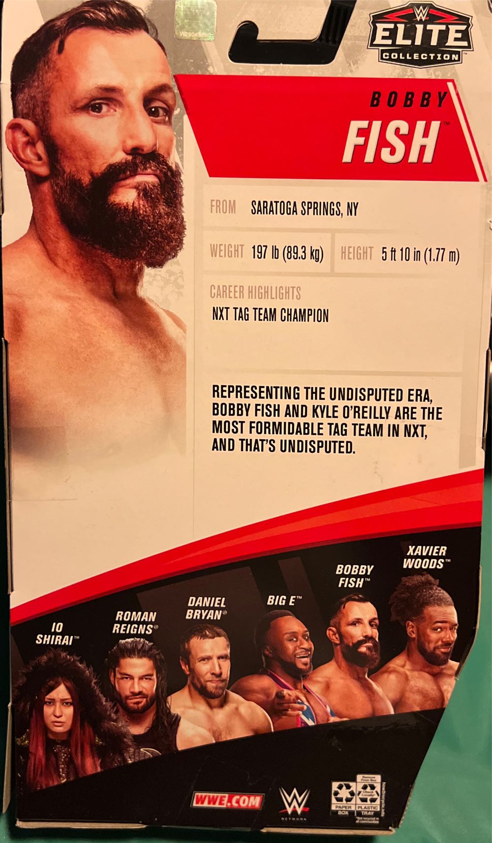 Bobby Fish - Mattel (WWE) action figure collectible [Barcode 887961833904] - Main Image 3