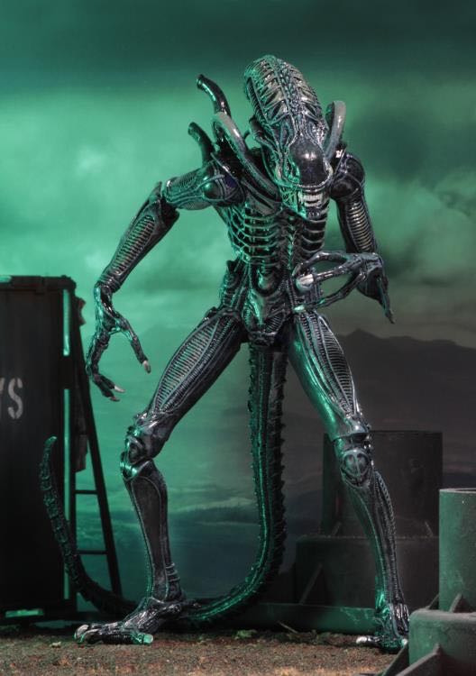 Aliens Ultimate Edition (Blue) - Neca action figure collectible - Main Image 4