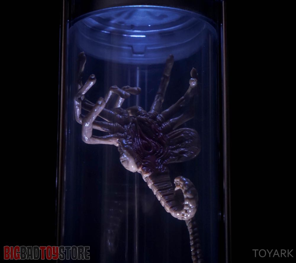 Aliens Creature Pack - Neca/Reel Toys (Aliens) action figure collectible - Main Image 4