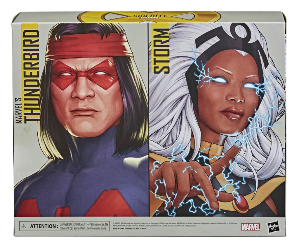 Legends - Storm & Thunderbird - Hasbro (Target Exclusive) action figure collectible - Main Image 2