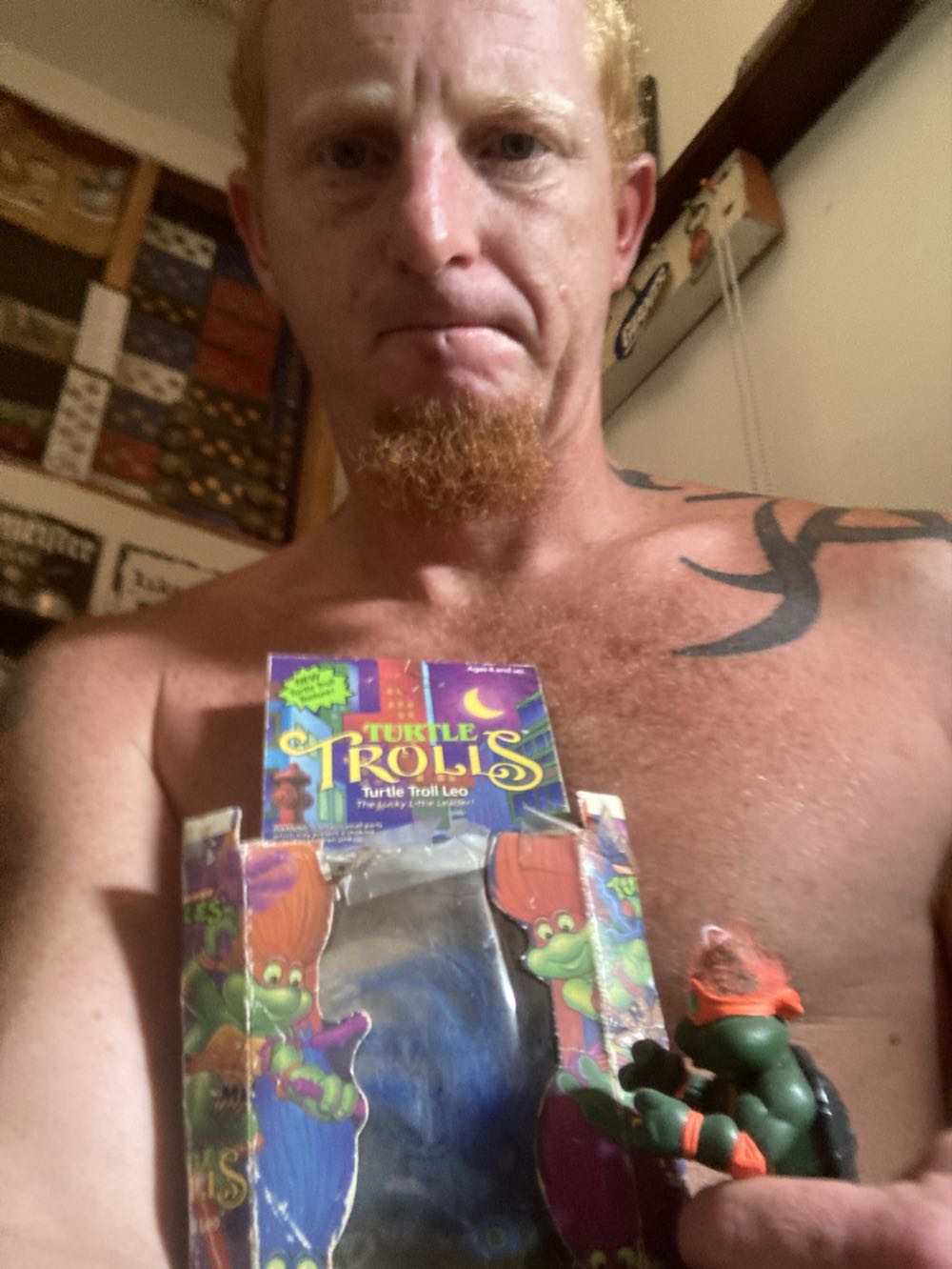 Turtle Troll Leo - Playmates (Teenage Mutant Ninja Turtles: Turtle Trolls) action figure collectible [Barcode 043377054863] - Main Image 2