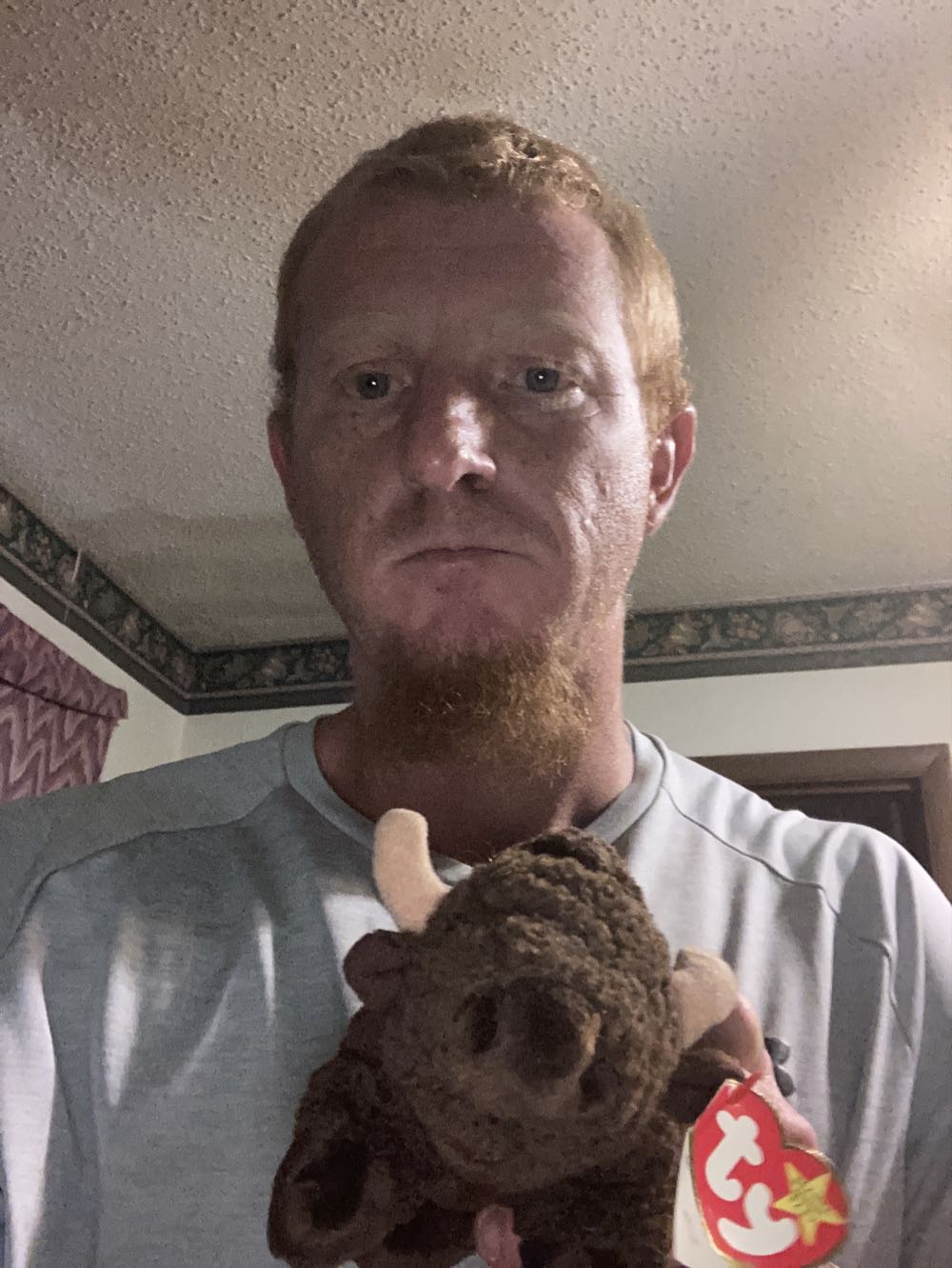 98 Ty Original ”roam” Buffalo Bison Ty Beanie Baby Roam Buffalo Bison - Ty Beanie Baby action figure collectible [Barcode 008421042098] - Main Image 4