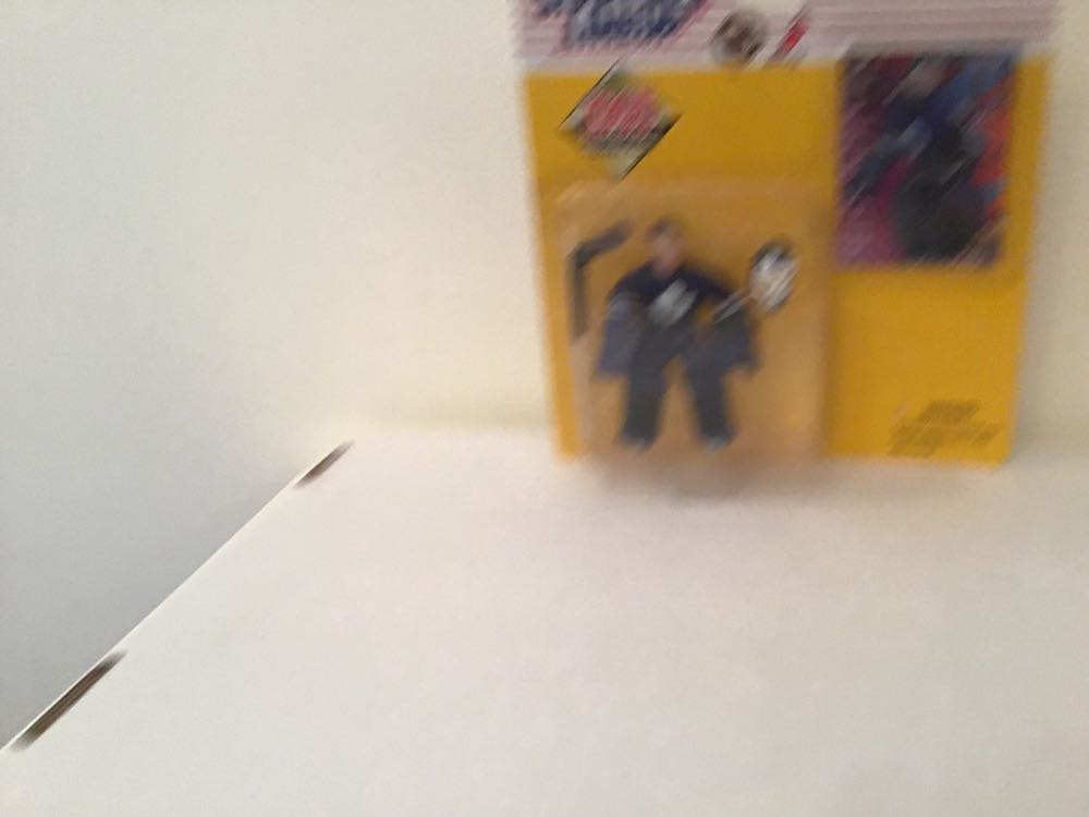 Son Goku (Super Saiyan God Super Saiyan)